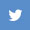 icon-twitter