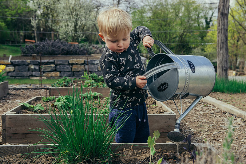 A young boy watering a plant